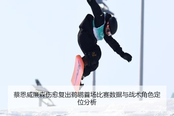 蔡恩威廉森伤愈复出鹈鹕首场比赛数据与战术角色定位分析 - 99zhenren